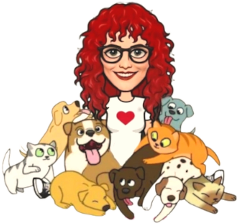 Danette's Comfy Critters | Pet Sitter in Crystal River, Florida